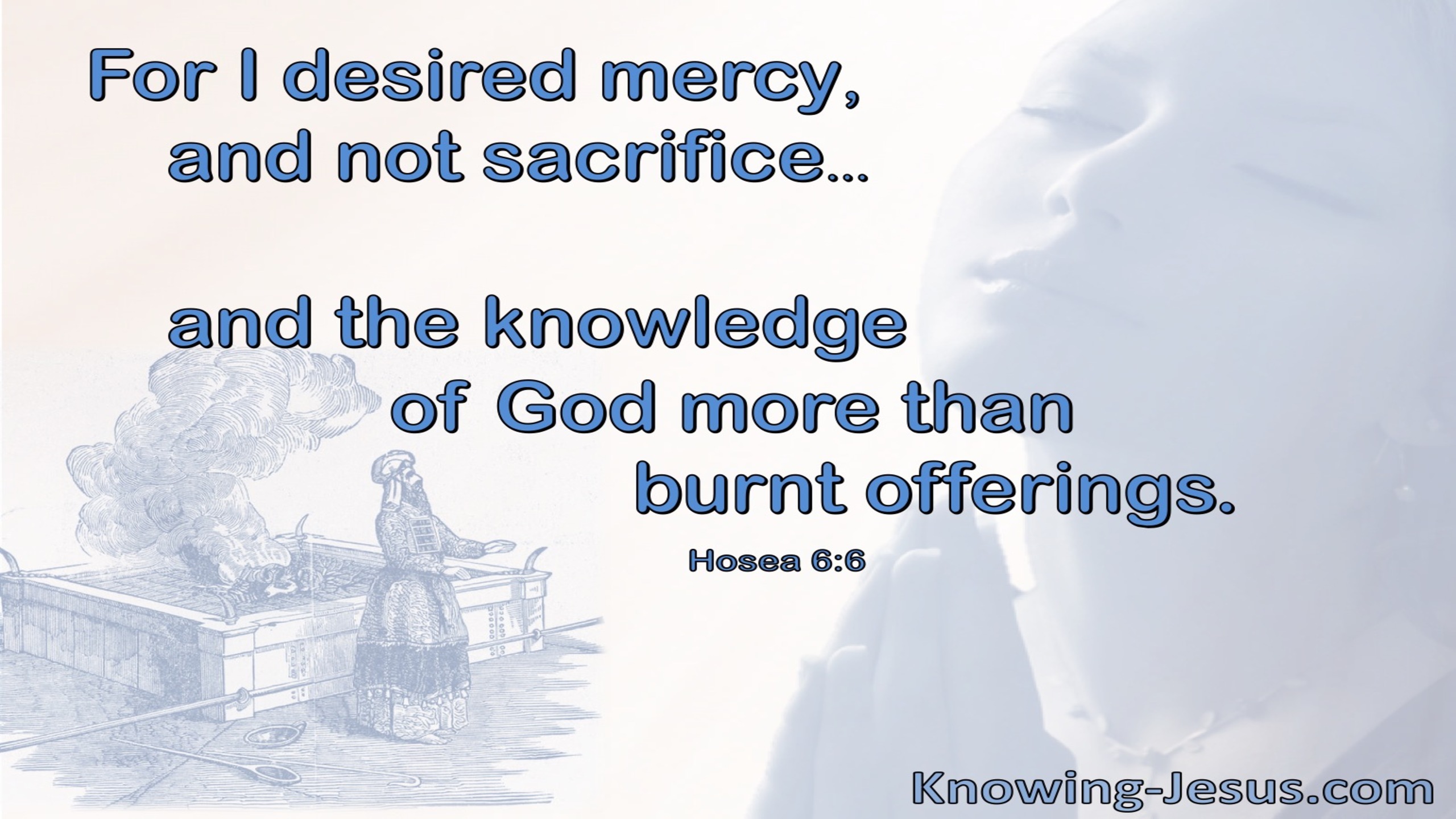 Hosea 6:6 God Desires Mercy Not Sacrifice (blue)